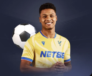 金刚V8Max官方APP